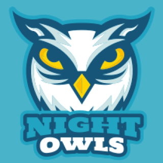 sports logo owl mascot with yellow eyes