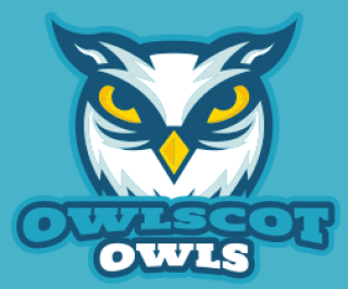 sports logo owl mascot with yellow eyes