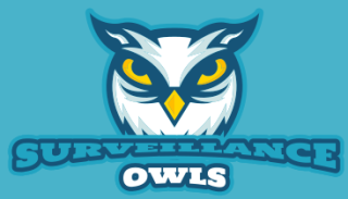 sports logo owl mascot with yellow eyes