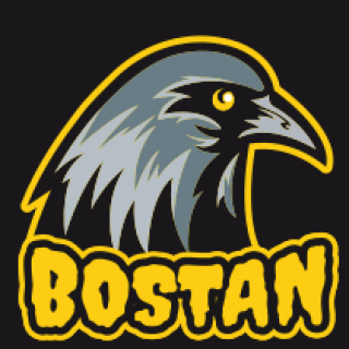bird logo raven head mascot