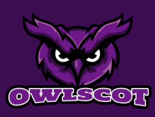 sports logo serious owl face mascot