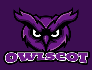 serious owl face mascot logo sample