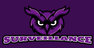 sports logo serious owl face mascot