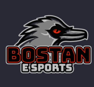 sports logo raven mascot with red eyes