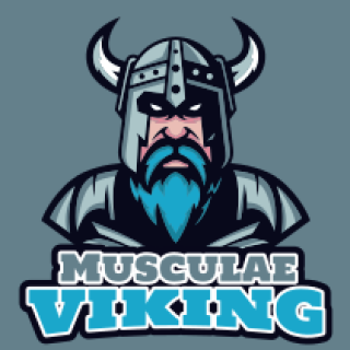 games logo maker old viking mascot