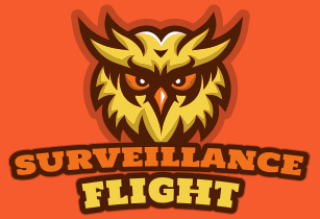 animal logo online annoyed owl mascot