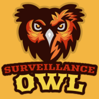 animal logo template owl mascot face