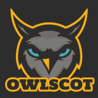 bird logo maker angry owl mascot