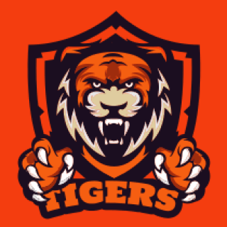 sports logo mascot angry tiger face in shield