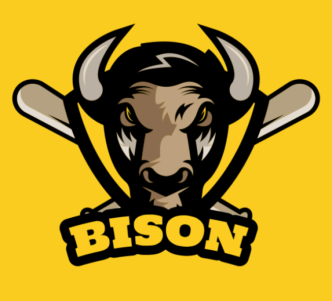 bison bull mascot and baseball bats