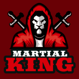  mascot logo lion in hoodie with swords