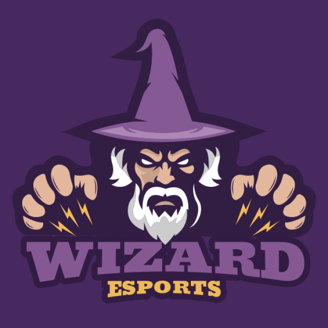  wizard  with magic hands mascot