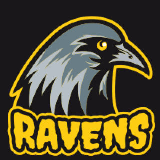 bird logo raven head mascot