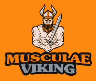 sports logo viking man with sword and helmet